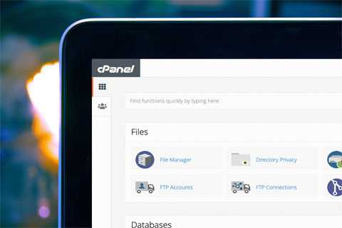 cPanel Control Panel logo